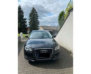 Audi Audi A3 2.0 TDI (DPF) Ambition Ambition Gebrauchtwagen