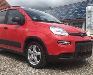 Fiat Fiat Panda 1.0 GSE Hybrid CITY LIFE CITY LIFE Gebrauchtwagen