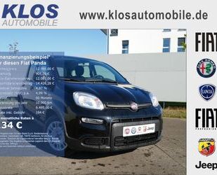 Fiat Fiat Panda HYBRID 1.0 GSE 70PS E6D FINAL RADIO Gebrauchtwagen