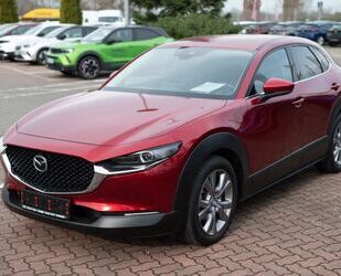 Mazda Mazda CX-30 SKYACTIV-G 2.0 M-Hybrid SELECTION Gebrauchtwagen