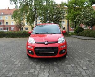 Fiat Fiat Panda Gebrauchtwagen