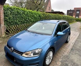 VW Volkswagen Golf 1.6 TDI DSG BMT CUP Variant CUP Gebrauchtwagen