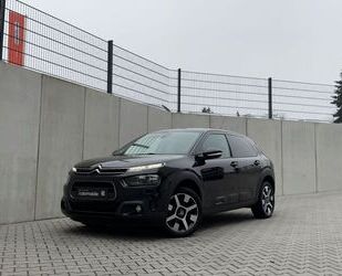 Citroen Citroën C4 Cactus Shine/CarPlay/Pano/PDC/Kamera/Sp Gebrauchtwagen