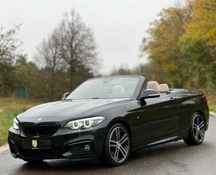 BMW BMW 230i Cabrio/M-Sportpaket/LED/H&K/2HD/Service Gebrauchtwagen