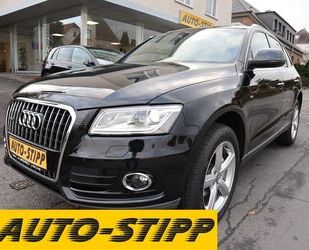 Audi Audi Q5 2.0TDI quattro NAV PANO XENON SITZH BLUET Gebrauchtwagen