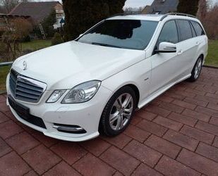 Mercedes-Benz Mercedes-Benz E 250 CDI T BlueEFFICIENCY Autom. Gebrauchtwagen