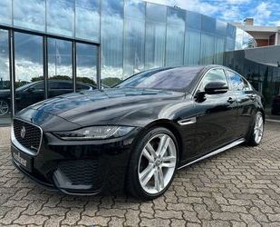 Jaguar Jaguar XE P250 R-Dynamic SE|Leder Tan|Meridian|Key Gebrauchtwagen