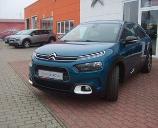 Citroen Citroën C4 Cactus PureTech 130 S&S Shine Gebrauchtwagen