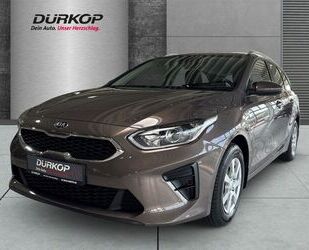 Kia ceed / Ceed Gebrauchtwagen