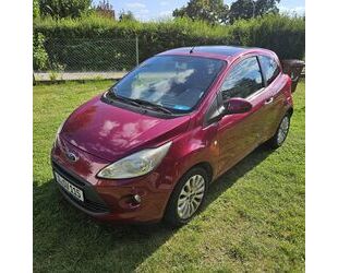 Ford Ford Ka/ TÜV/ Panorama Gebrauchtwagen