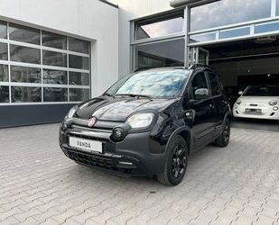 Fiat Fiat Panda Trussardi *Klima.Aut*PDC*Komfort-Paket Gebrauchtwagen