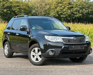 Subaru Subaru Forester Comfort 2.0 4X4 LPG AHK SHZ Klima Gebrauchtwagen