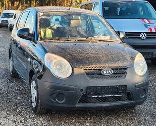 Kia Kia Picanto 1.0 Cool Gebrauchtwagen