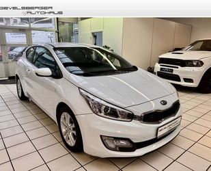 Kia Kia ProCeed Edition 7 1.6 GDI 1.Hand Ambientebeleu Gebrauchtwagen