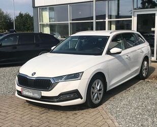 Skoda Skoda Octavia 2.0 TDI Com. First Edition LED AHK K Gebrauchtwagen