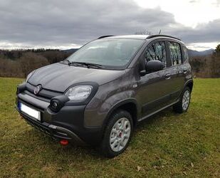 Fiat Fiat Panda 4x4 City Cross 0.9 TwinAir Gebrauchtwagen