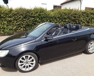 VW Volkswagen Eos 1.4 TSI Edition ABT, Kamera, Sportf Gebrauchtwagen