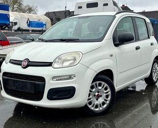 Fiat Fiat Panda 1.2 My Panda Gebrauchtwagen