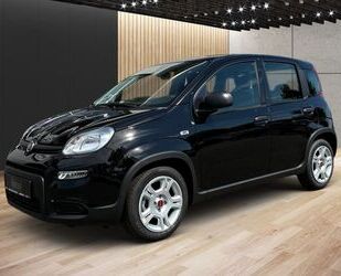 Fiat Fiat Panda 1.0 GSE Hybrid *Carplay* Gebrauchtwagen