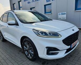 Ford Kuga Gebrauchtwagen