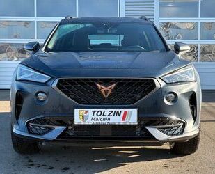 Cupra Cupra Formentor 1.5 TSI Matrix Pano ACC Matt Gebrauchtwagen