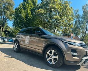 Land Rover Land Rover Range Rover Evoque 20 Jahre AKTION 2,0 Gebrauchtwagen