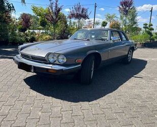 Jaguar Jaguar XJSC Gebrauchtwagen