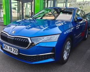 Skoda Skoda Octavia Combi 2.0 TDI 110 kW Selection Gebrauchtwagen