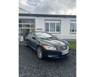 Jaguar Jaguar XF 2.7 L V6 Diesel Premium Luxury Premium L Gebrauchtwagen