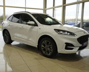 Ford Ford Kuga ST-Line X 2.5 Hybrid AWD aAHK/LED/ACC/el Gebrauchtwagen