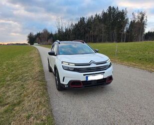 Citroen C5 Aircross Gebrauchtwagen