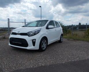 Kia Kia Picanto Edition 7 Gebrauchtwagen