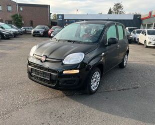 Fiat Fiat Panda Easy Gebrauchtwagen