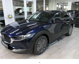 Mazda Mazda CX-30 >2025< / e-SKYACTIV 140 Nagisa Automat Gebrauchtwagen