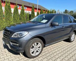 Mercedes-Benz Mercedes-Benz ML 250 CDI BlueTec Aut. / LEDER / N Gebrauchtwagen