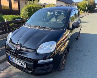 Fiat Fiat Panda 1.2 Easy Gebrauchtwagen