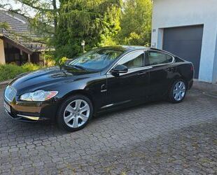 Jaguar Jaguar XF 3.0 V6 Diesel Premium Luxury Premium Lux Gebrauchtwagen