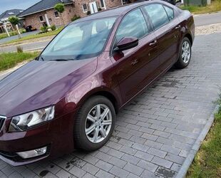 Skoda Skoda Octavia 1.4 TSI Ambition Ambition Gebrauchtwagen