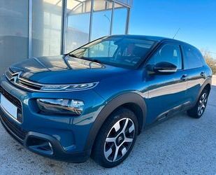 Citroen Citroën C4 Cactus BlueHDi 100 S&S 6V Shine Gebrauchtwagen