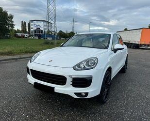 Porsche Porsche Cayenne S E-Hybrid Gebrauchtwagen