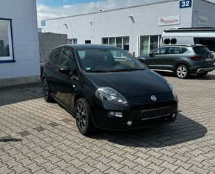 Fiat Fiat Punto 1.2 8V POP / 2. Hand Gebrauchtwagen