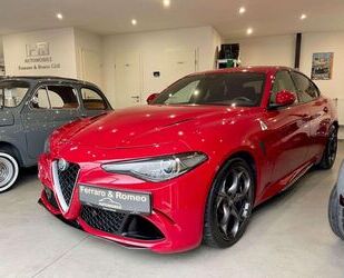 Alfa Romeo Alfa Romeo Giulia Quadrifoglio 2.9 T V6 Sammlerstü Gebrauchtwagen