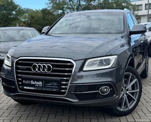 Audi Audi Q5 3.0 TDI quattro*S-line**Sport Edition Plu Gebrauchtwagen