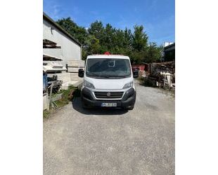 Fiat Ducato Gebrauchtwagen