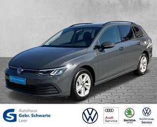 VW Volkswagen Golf VIII Variant 1.0 TSI Life ACC AHK Gebrauchtwagen