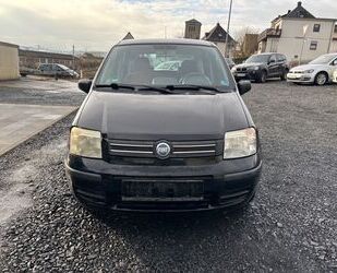 Fiat Fiat Panda 1.2 8V Dynamic Gebrauchtwagen