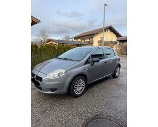 Fiat Fiat Punto 1.2 8V POP POP Gebrauchtwagen