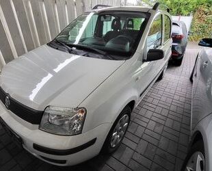 Fiat Fiat Panda Gebrauchtwagen