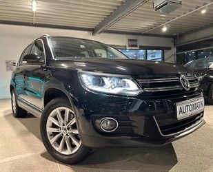 VW Volkswagen Tiguan Life BMT/Bi-Xenon/Navi/AHK/Aus 1 Gebrauchtwagen