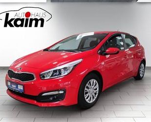 Kia Kia ceed 1,4 CRDI - 6-Gang / Klima Gebrauchtwagen